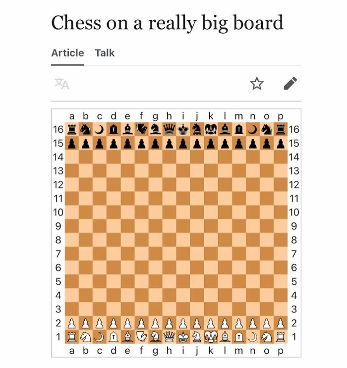 Chess on a really big board with a 16x16 grid and pieces arranged for play