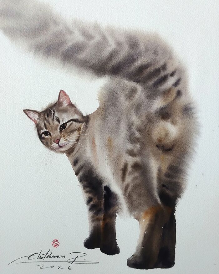 Cat Paintings