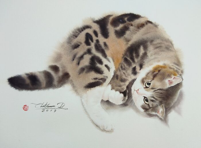 Cat Paintings