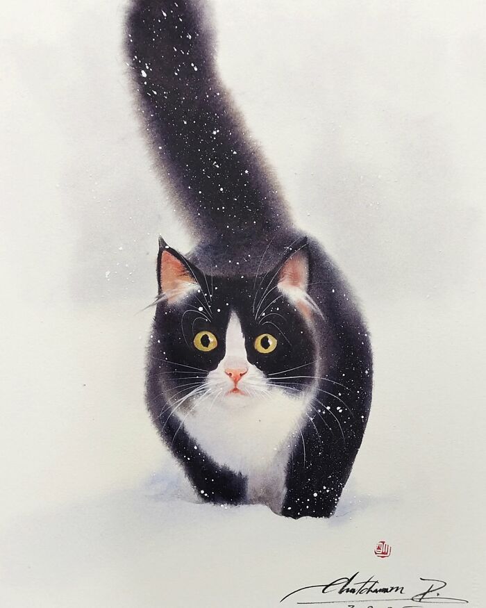 Cat Paintings