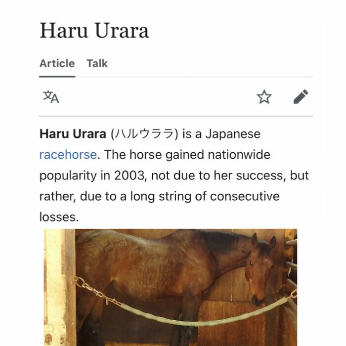 Wikipedia page about Haru Urara, a Japanese racehorse known for consecutive losses