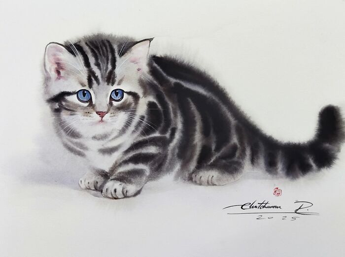 Cat Paintings