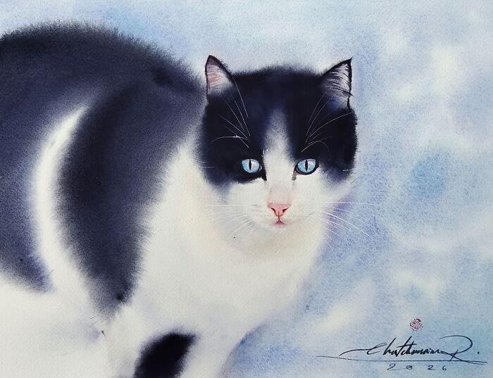 Cat Paintings