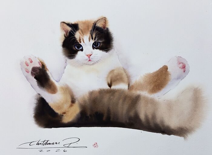 Cat Paintings