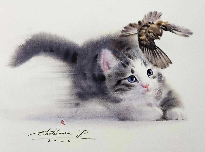 Cat Paintings