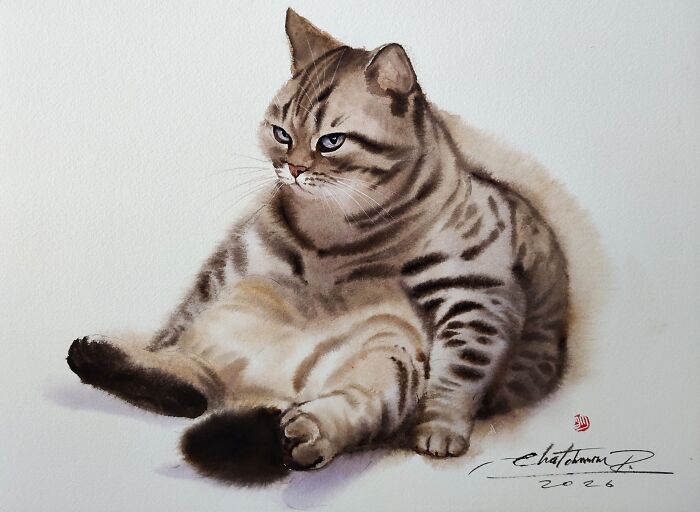 Cat Paintings