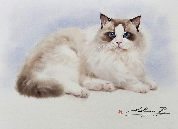 Cat Paintings