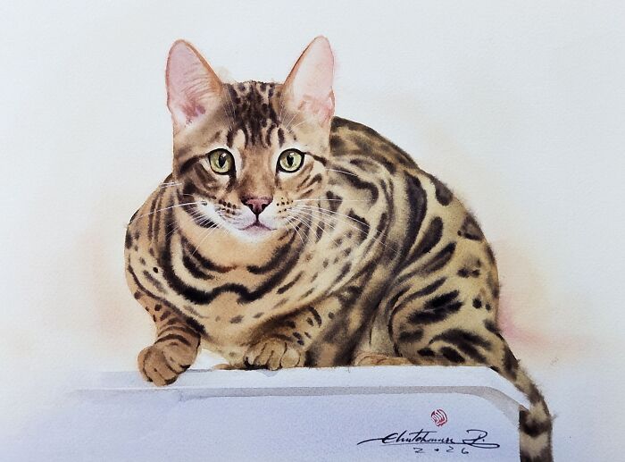 Cat Paintings
