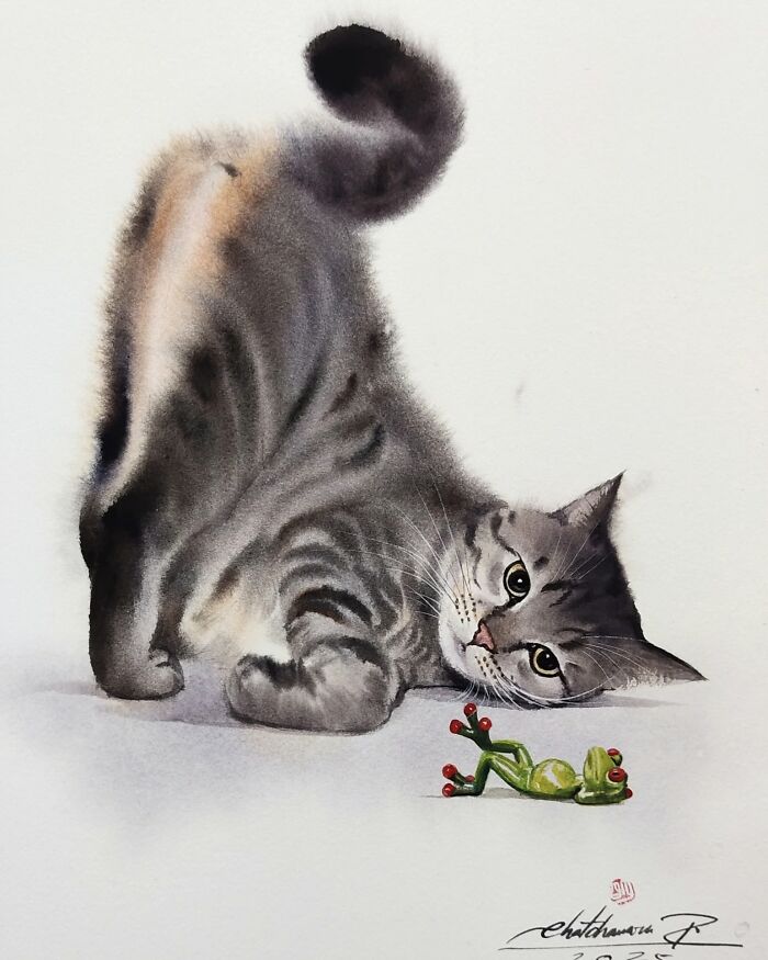 Cat Paintings