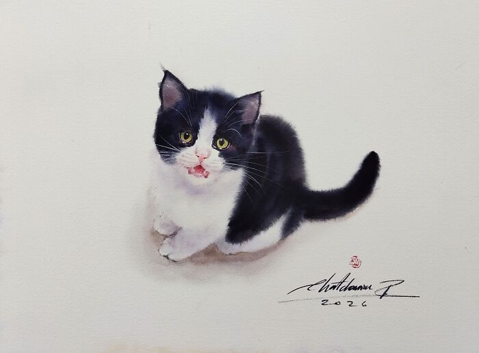 Cat Paintings