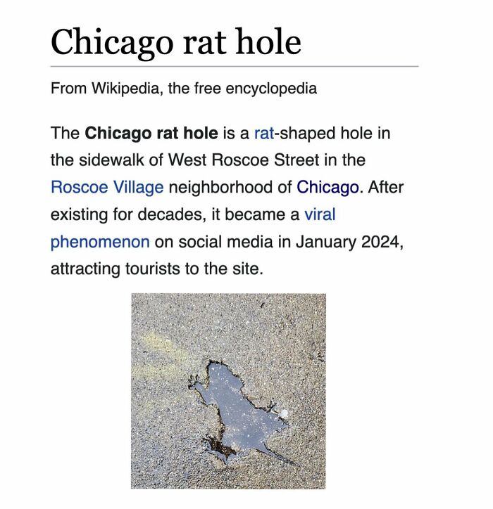 Chicago rat hole sidewalk rat-shaped hole viral phenomenon