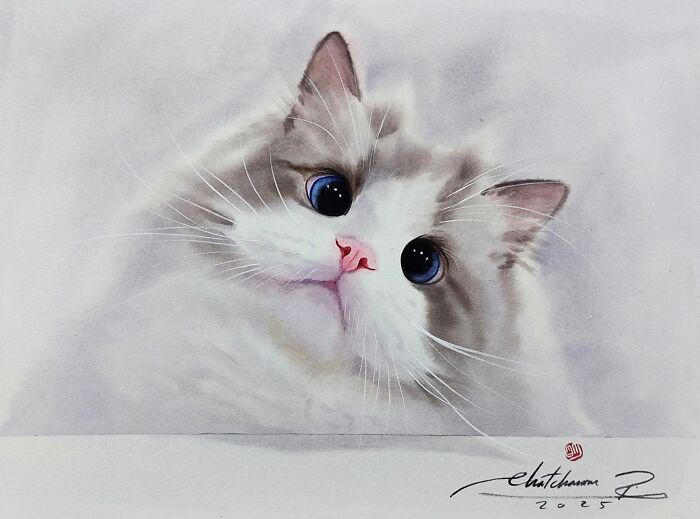 Cat Paintings