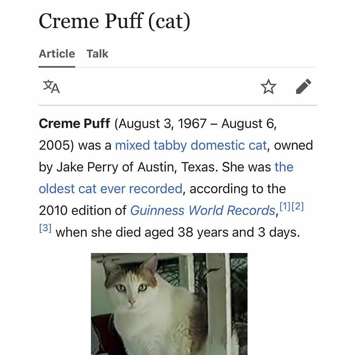 Creme Puff, the oldest recorded mixed tabby domestic cat