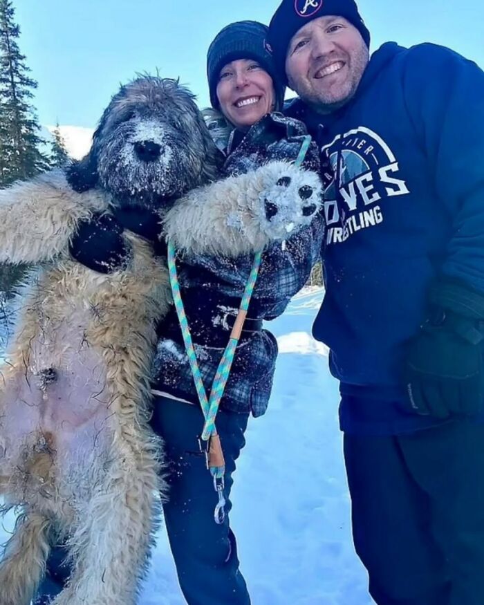 Woman Passes Away Trying To Rescue Her Dog, Found Hugging Him Four Months Later