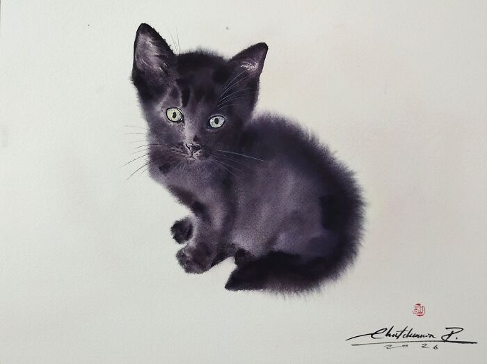 Cat Paintings