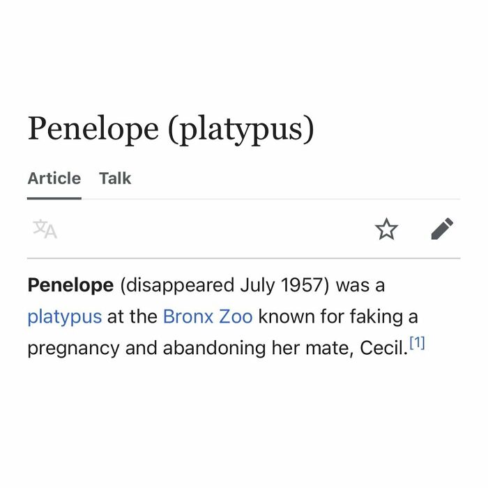 Wikipedia page about Penelope platypus known for faking pregnancy