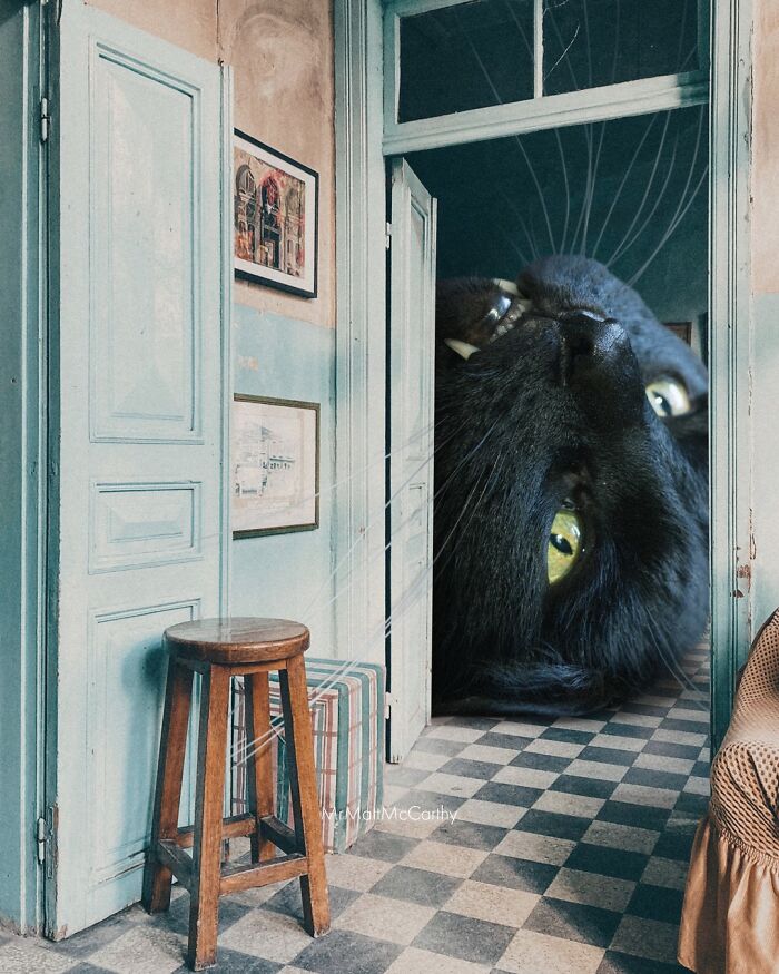 This Artist Imagines A World Where Giant Cats Rule Everything, And Here Are His 30 Newest Surreal Creations