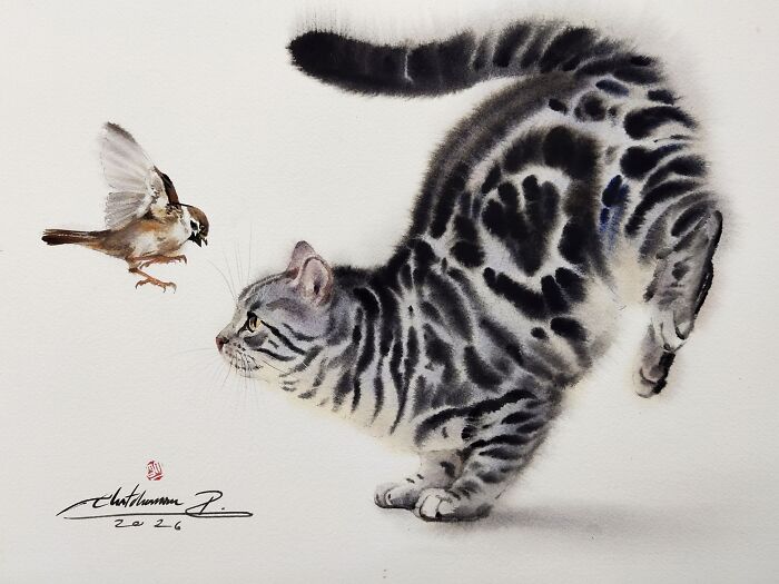 Cat Paintings
