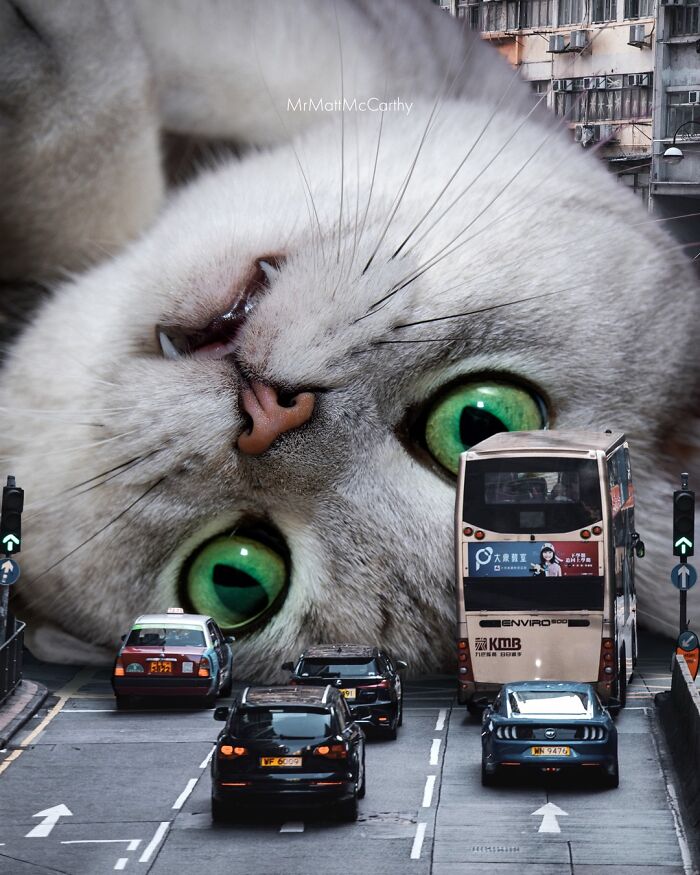 This Artist Imagines A World Where Giant Cats Rule Everything, And Here Are His 30 Newest Surreal Creations