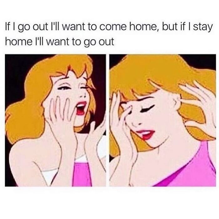 Cartoon woman confused about wanting to go out or stay home in funny meme