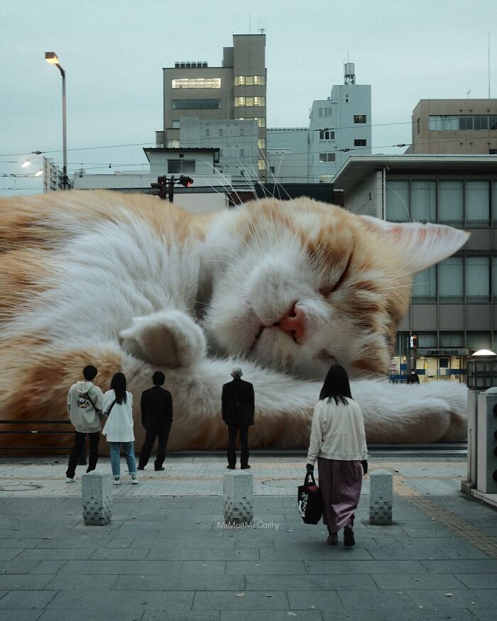 This Artist Imagines A World Where Giant Cats Rule Everything, And Here Are His 30 Newest Surreal Creations
