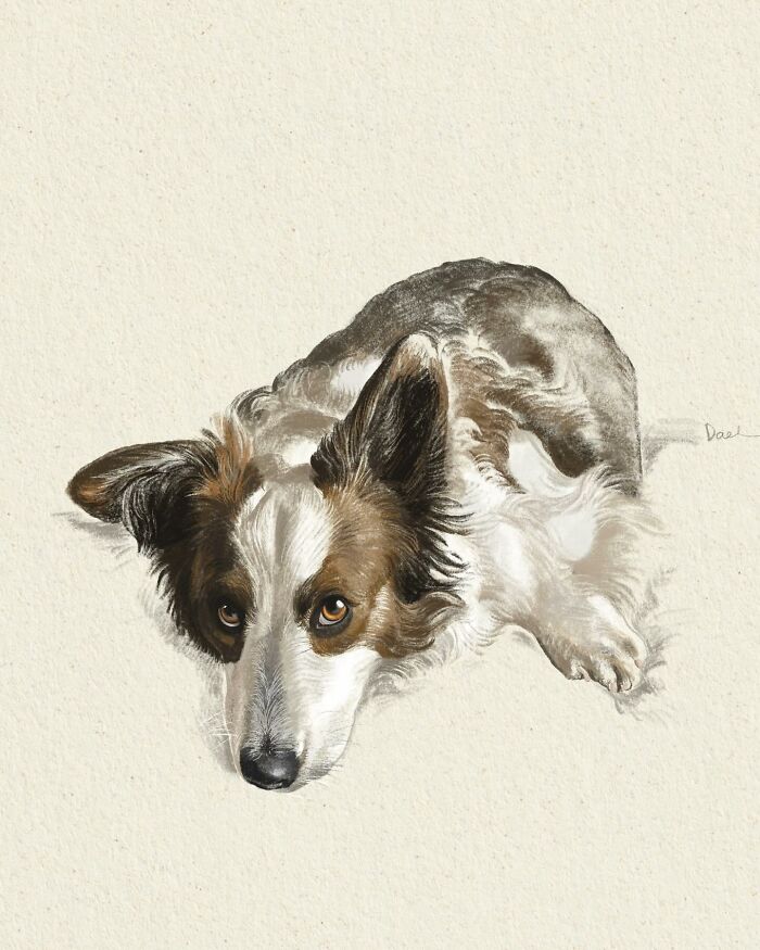 This Artist Draws Dog Portraits That Perfectly Capture Each Pet’s Personality (76 Pics)