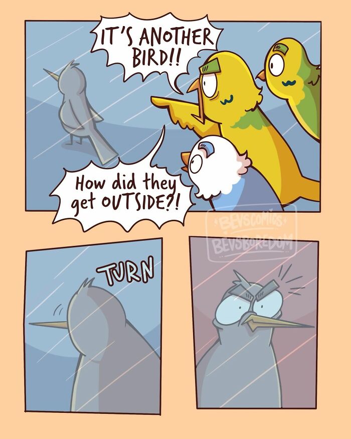 30 Hilariously Relatable Comics That Perfectly Capture The Chaos Of Everyday Life (New Pics)