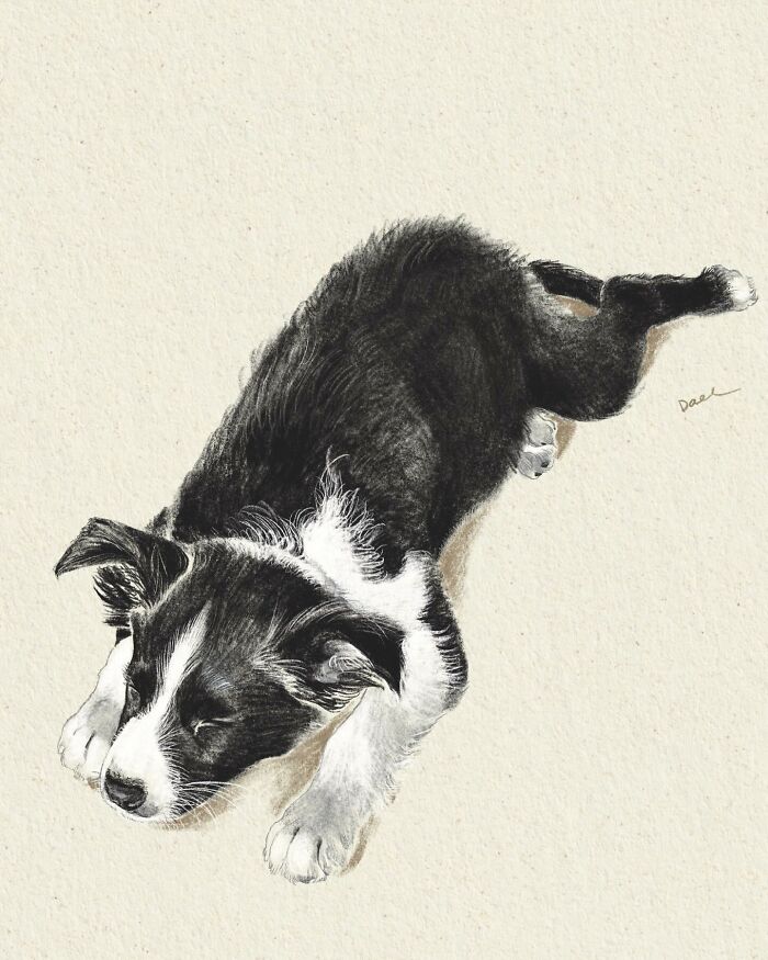 This Artist Draws Dog Portraits That Perfectly Capture Each Pet’s Personality (76 Pics)