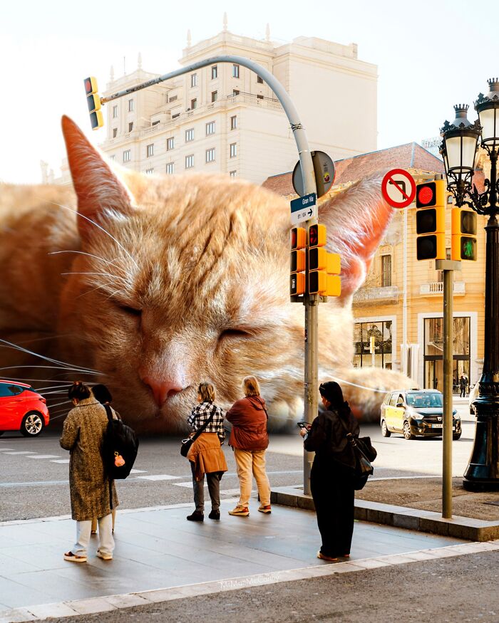 This Artist Imagines A World Where Giant Cats Rule Everything, And Here Are His 30 Newest Surreal Creations