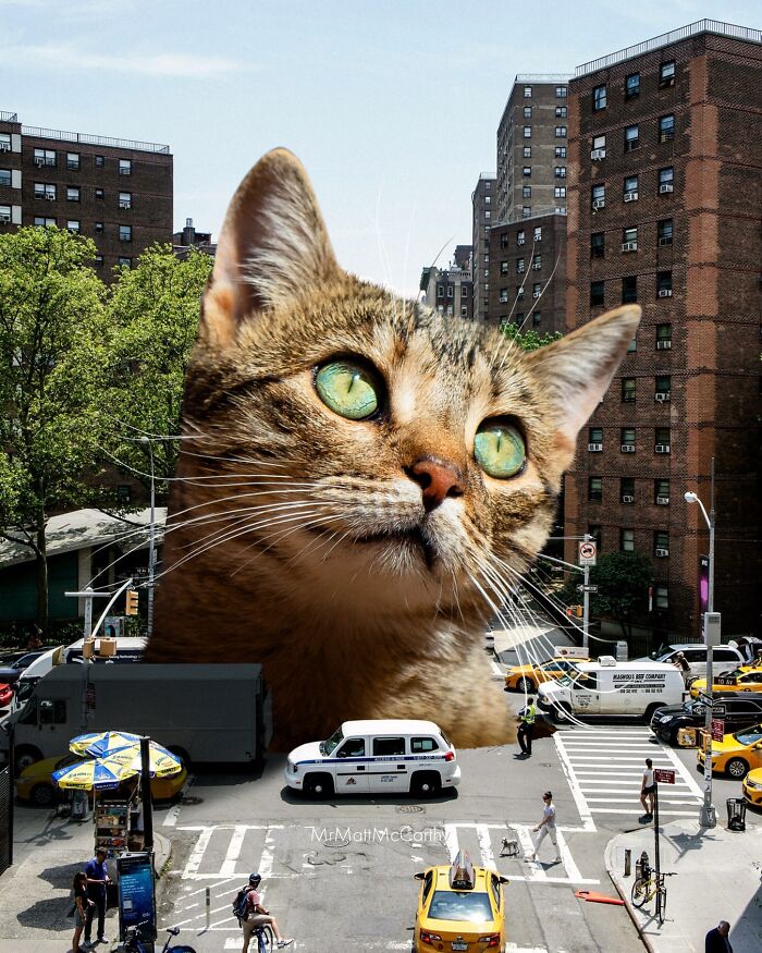 This Artist Imagines A World Where Giant Cats Rule Everything, And Here Are His 30 Newest Surreal Creations