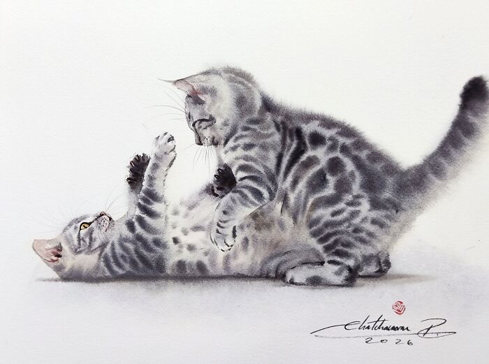 Cat Paintings