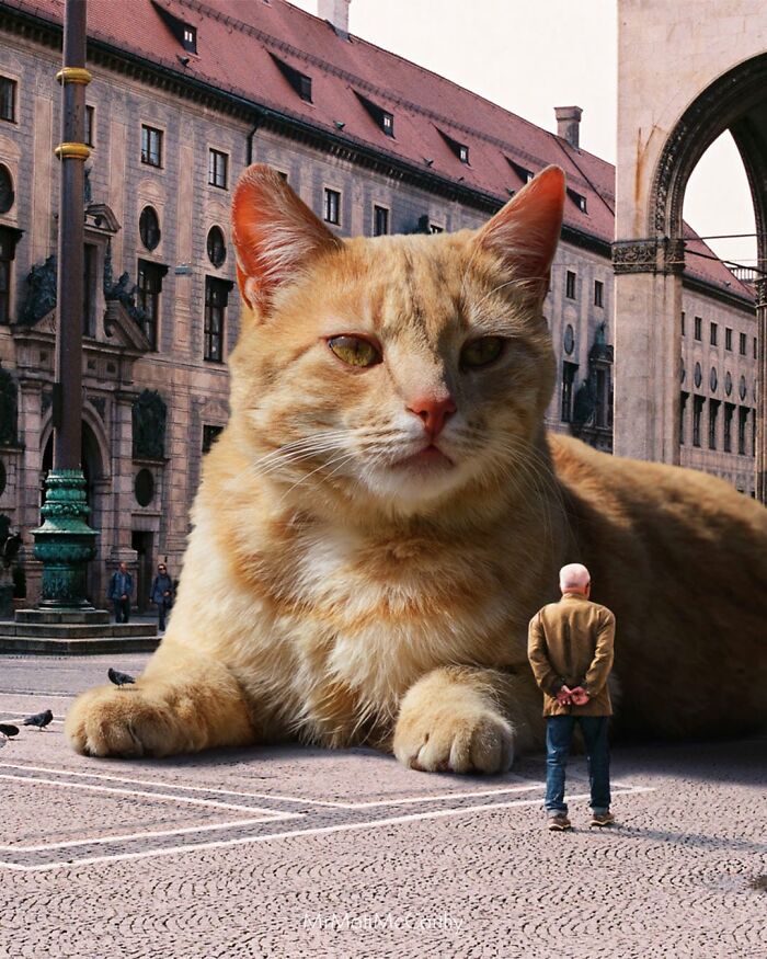 This Artist Imagines A World Where Giant Cats Rule Everything, And Here Are His 30 Newest Surreal Creations