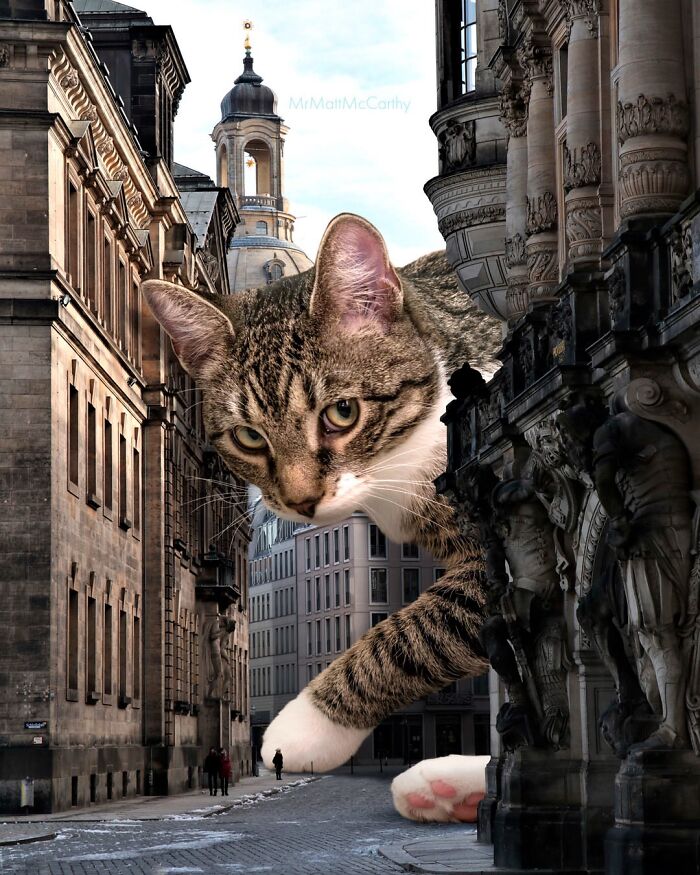 This Artist Imagines A World Where Giant Cats Rule Everything, And Here Are His 30 Newest Surreal Creations
