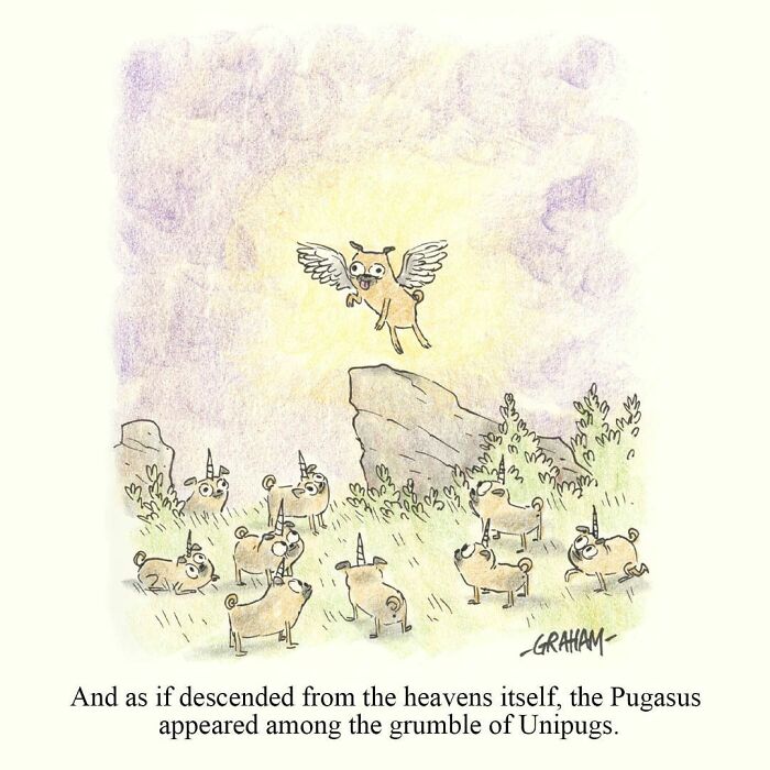 Subtle humor comic of a winged pug called Pugasus among a group of unicorn pugs.