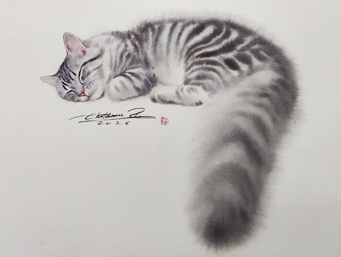 Cat Paintings
