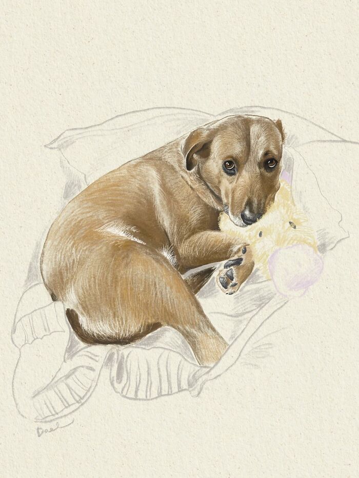 This Artist Draws Dog Portraits That Perfectly Capture Each Pet’s Personality (76 Pics)
