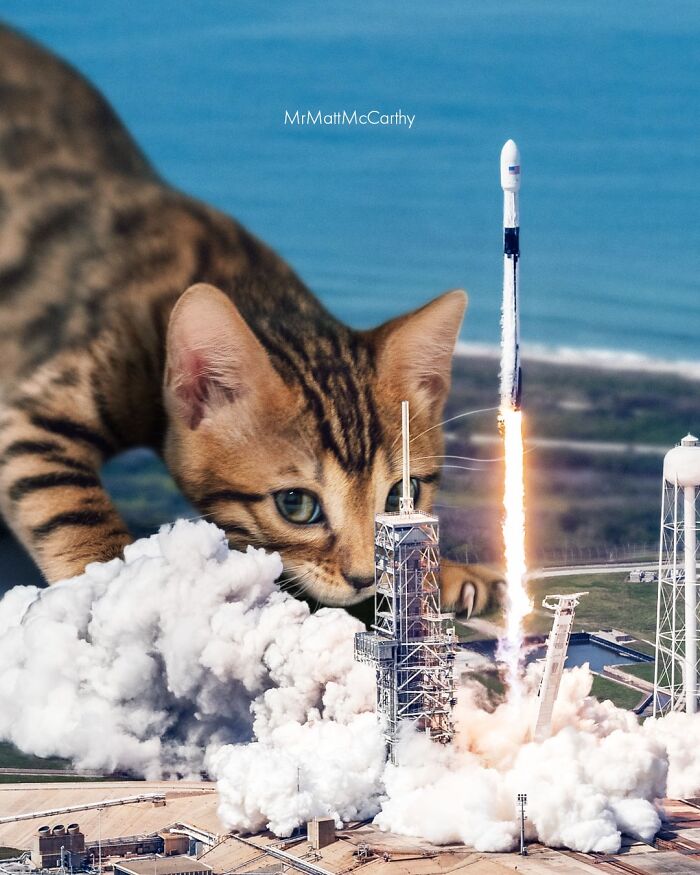 This Artist Imagines A World Where Giant Cats Rule Everything, And Here Are His 30 Newest Surreal Creations