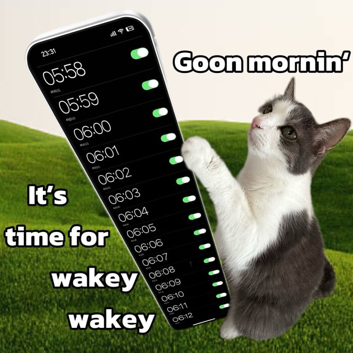 Catscouple-Making-Memes-Mrsmiuki