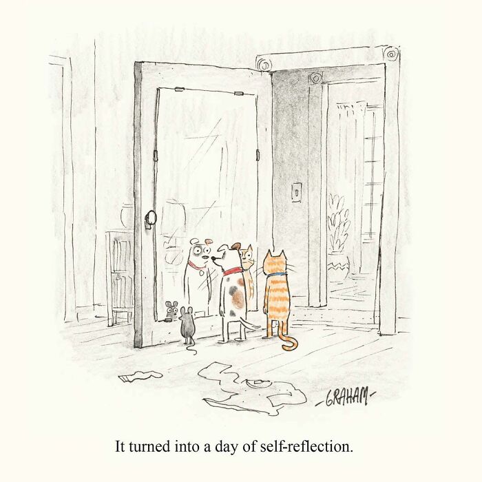 Comic with pets looking at their reflections in a mirror self-reflecting