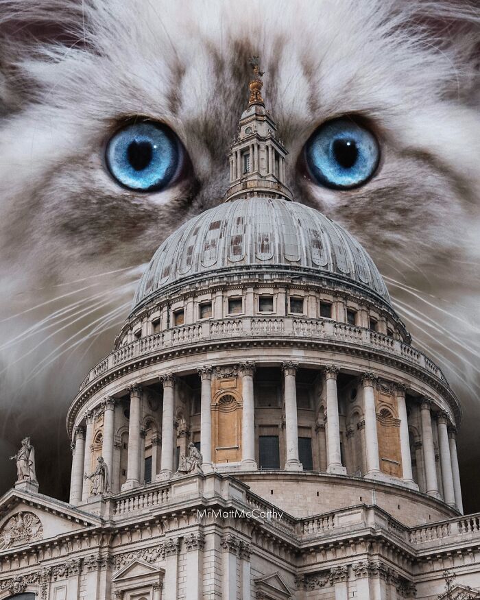 This Artist Imagines A World Where Giant Cats Rule Everything, And Here Are His 30 Newest Surreal Creations