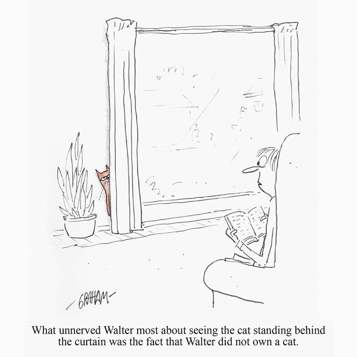 Humorous comic of a man unnerved by a cat behind a curtain he doesn't own