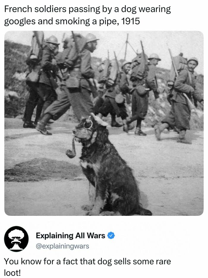 Black and white image of a dog in goggles smoking a pipe, with French soldiers marching in the background, explaining all wars.
