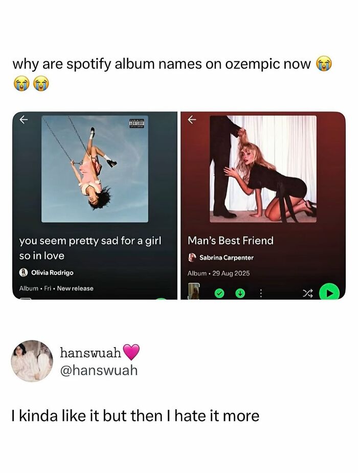 A meme showing two Spotify album covers, You Seem Pretty Sad and Man's Best Friend, for pop culture posts and instant good vibes.