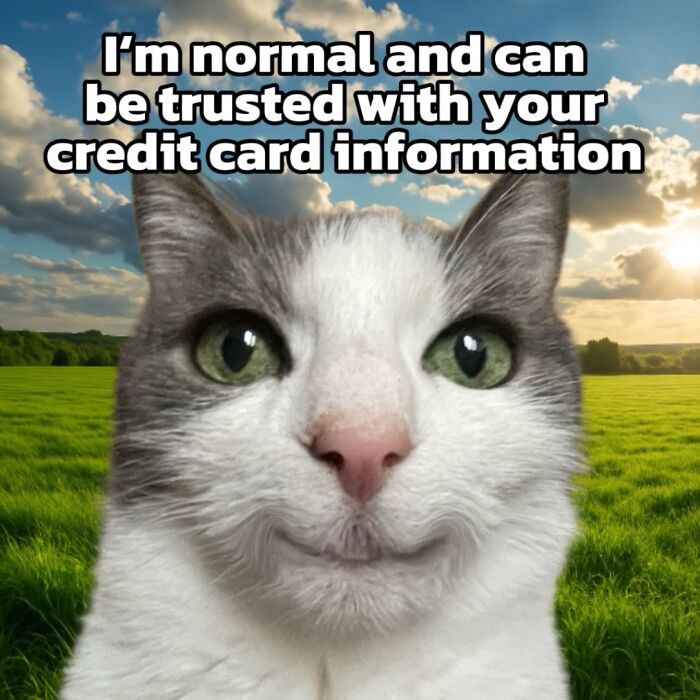 Catscouple-Making-Memes-Mrsmiuki