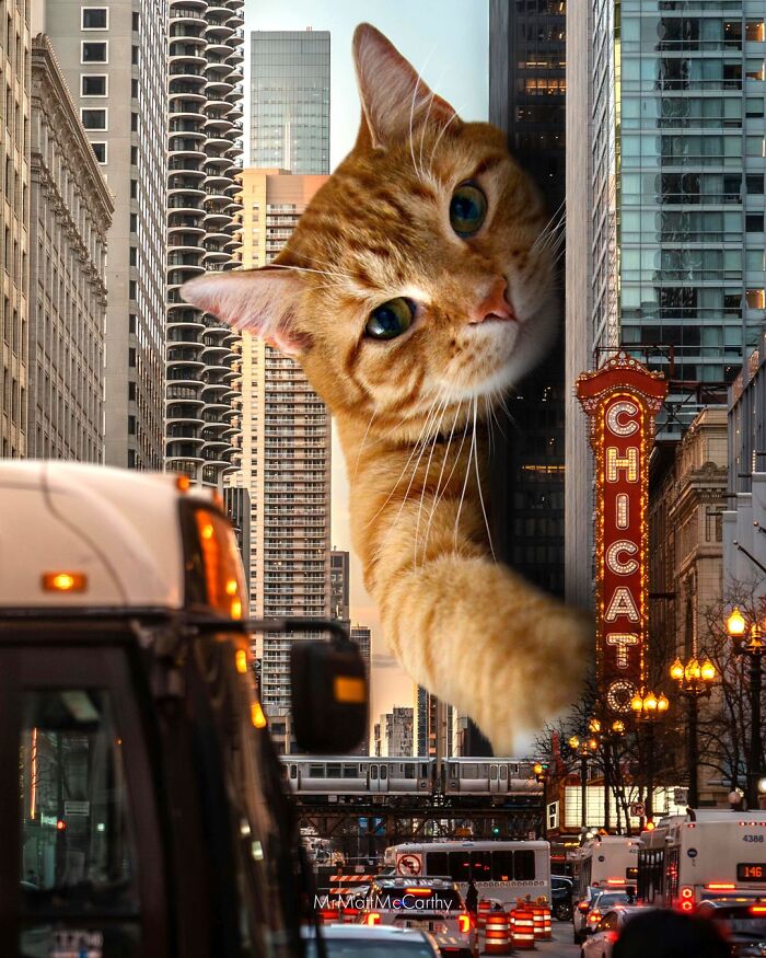 This Artist Imagines A World Where Giant Cats Rule Everything, And Here Are His 30 Newest Surreal Creations