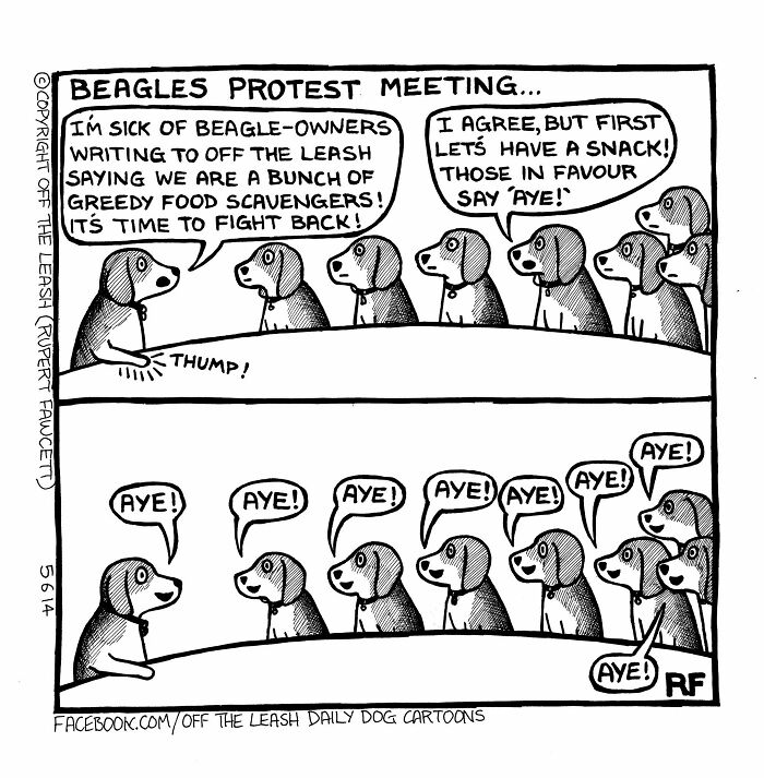 33 New “Off The Leash” Comics Perfectly Capture What Dogs Are Really Thinking