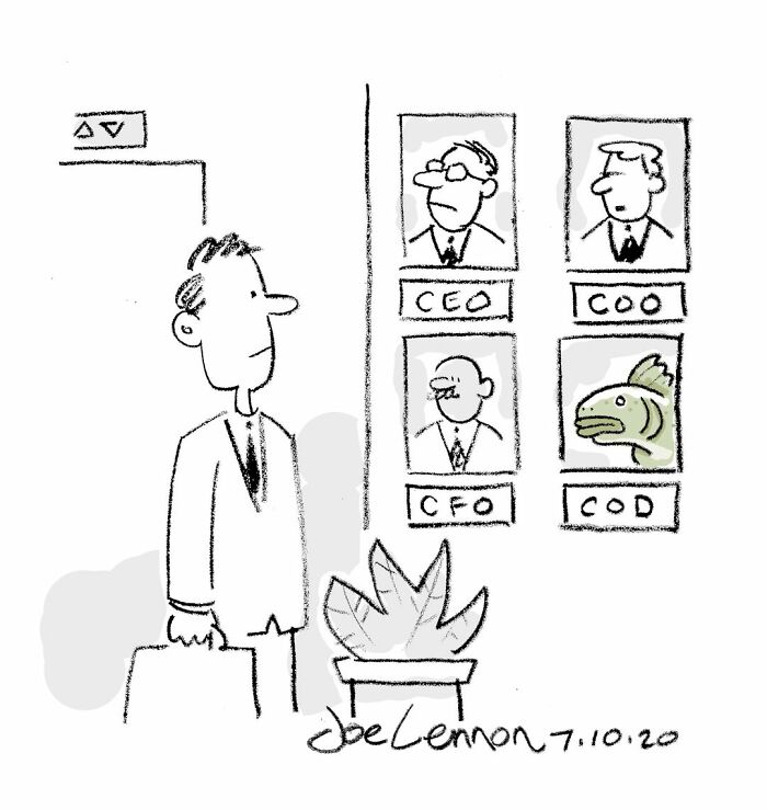 One-panel comic showing a man looking at executive photos including a CEO, COO, CFO, and a fish labeled COD