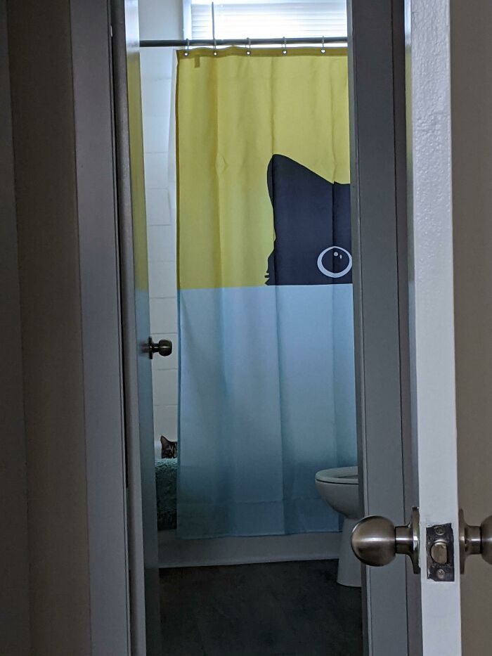 Bathroom with a cat hiding behind a shower curtain featuring a cat design