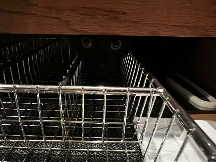 Black cat's eyes visible hiding in the dark kitchen cabinet rack