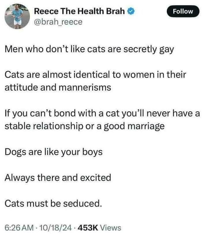 Tweet about men, cats, dogs, and relationship bonding